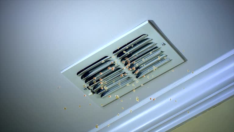 Best Air Vent Cleaning Services  in Meron Park, CA